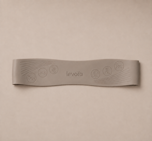 levaïa bands in classic taupe
