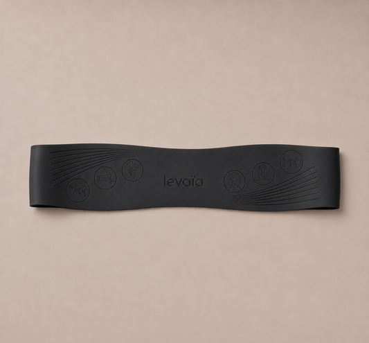levaïa bands in classic noir
